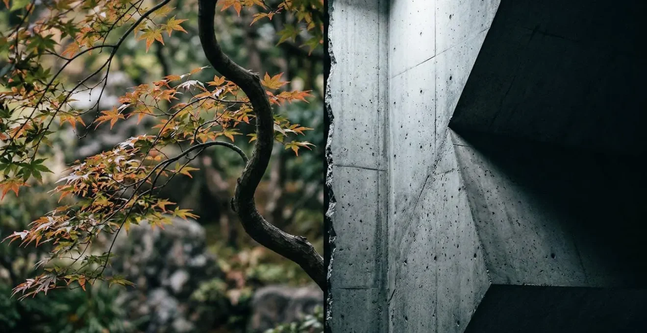 Juxtaposition d'éléments naturels et urbains créant une césure visuelle