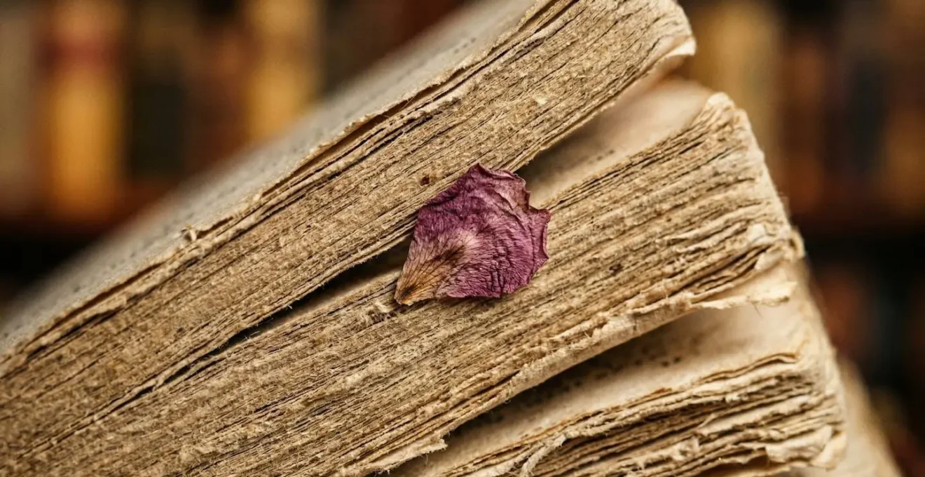 Détail macro d'un livre ancien montrant la texture du papier et les traces du temps